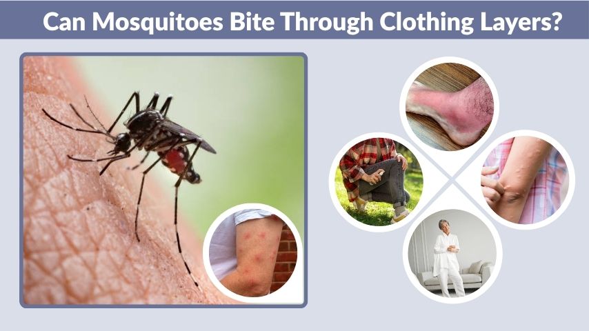 Can Mosquitoes Bite Through Clothing Layers?
