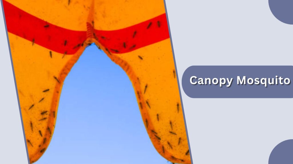 Canopy Mosquito