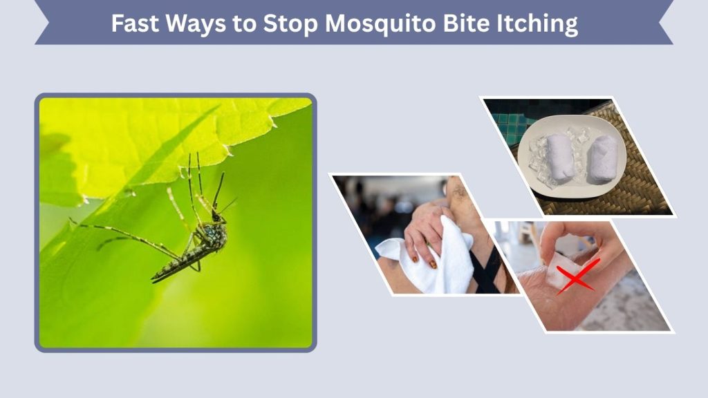 Fast Ways to Stop Mosquito Bite Itching