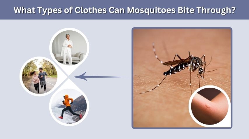 What Types of Clothes Can Mosquitoes Bite Through?