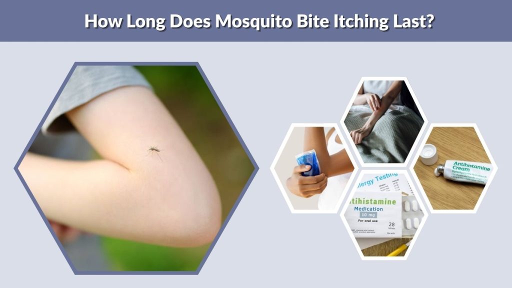 How Long Does Mosquito Bite Itching Last?