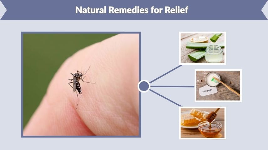Natural Remedies for Relief