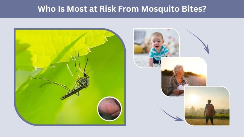 Who Is Most at Risk From Mosquito Bites?