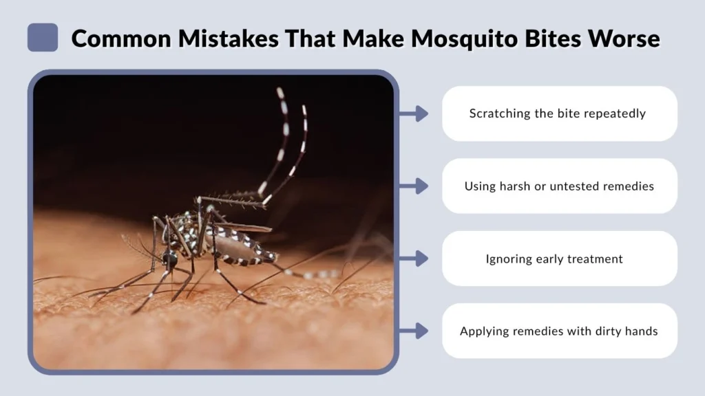 Common Mistakes That Make Mosquito Bites Worse