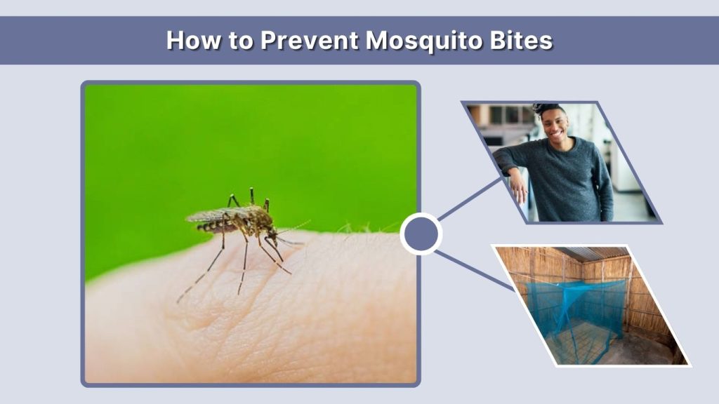 How to Prevent Mosquito Bites