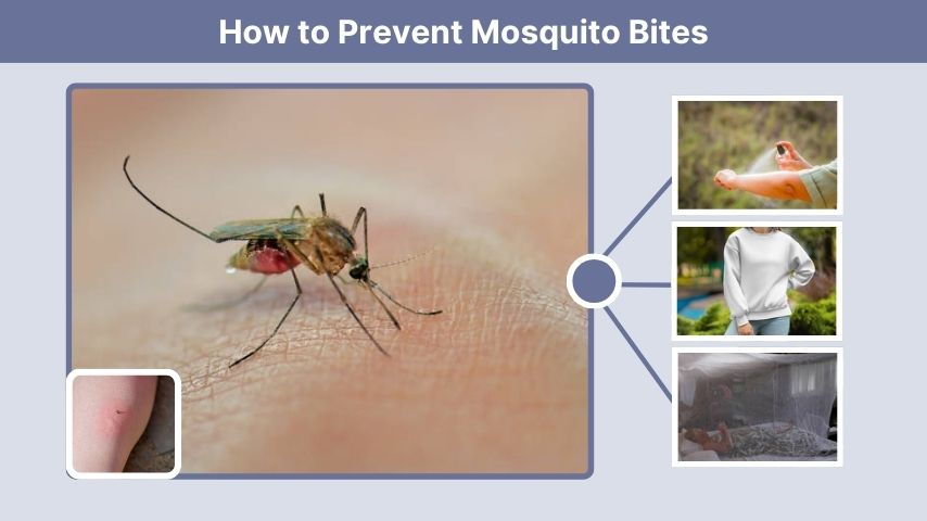 How to Prevent Mosquito Bites
