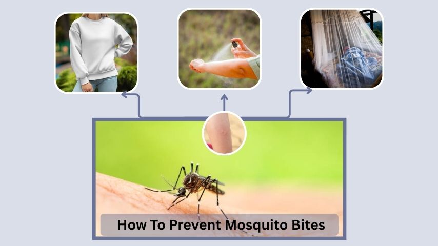 How To Prevent Mosquito Bites