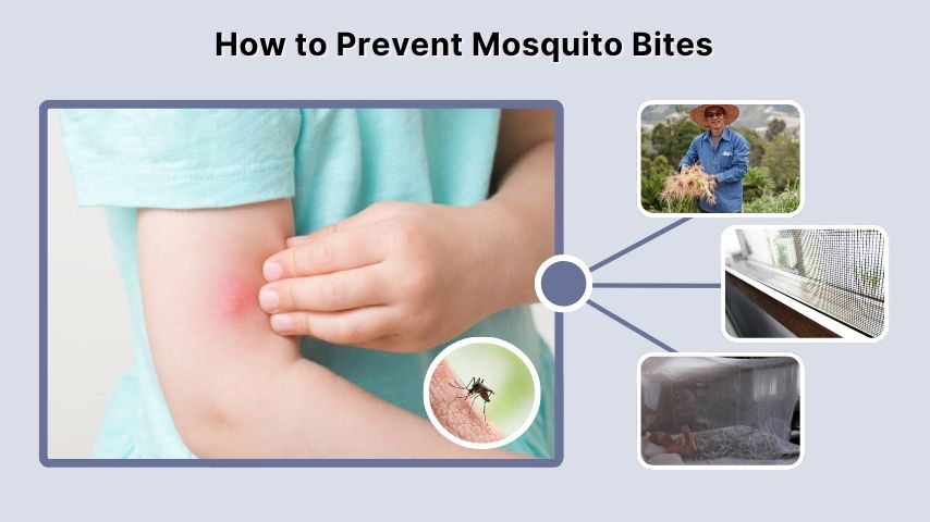 How to Prevent Mosquito Bites