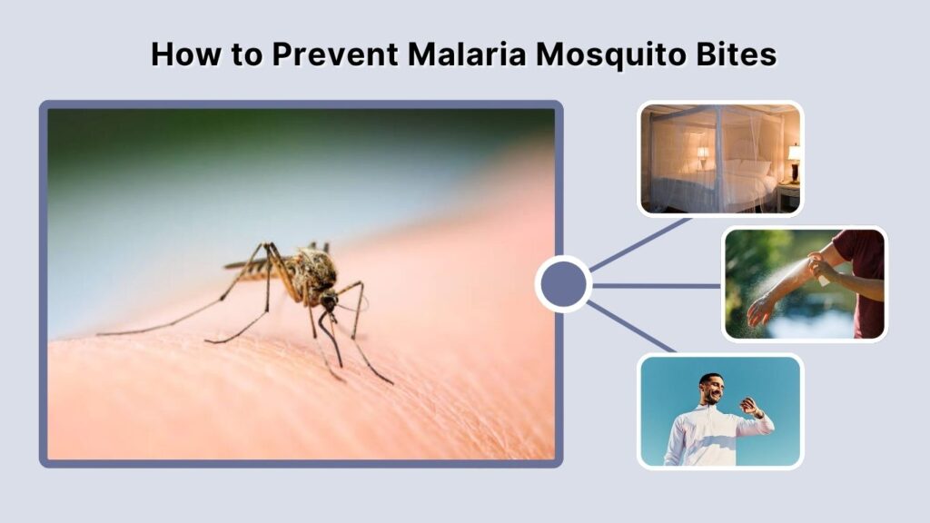 How to Prevent Malaria Mosquito Bites