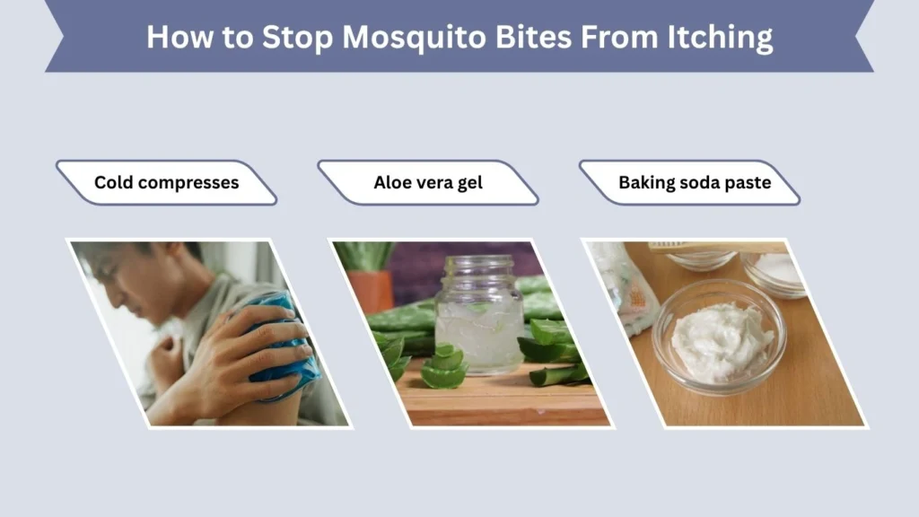 How to Stop Mosquito Bites From Itching
