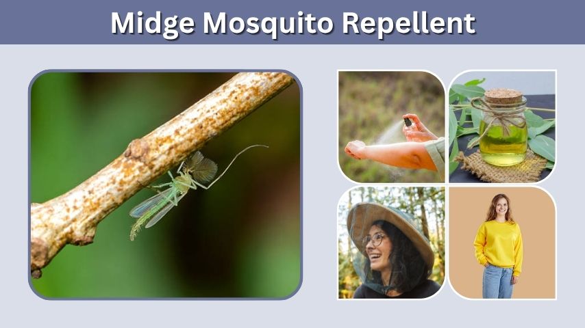 Midge Mosquito Repellent: What Works Best?