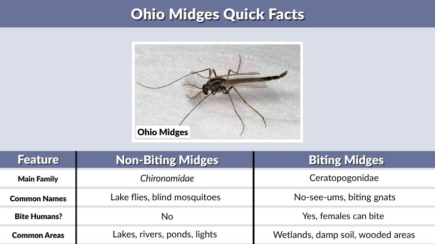 Ohio Midges Quick Facts