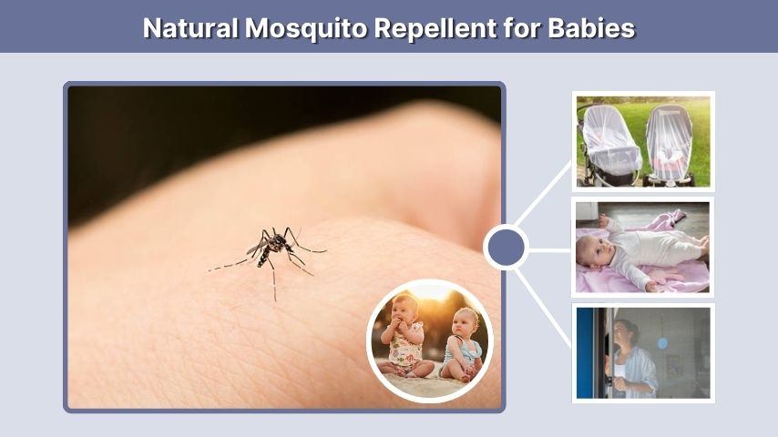 Natural Mosquito Repellent for Babies