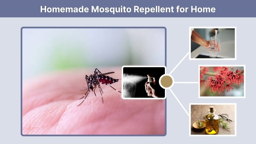 Homemade Mosquito Repellent for Home