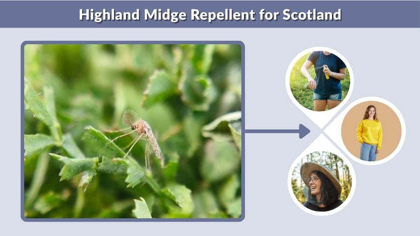 Highland Midge Repellent for Scotland
