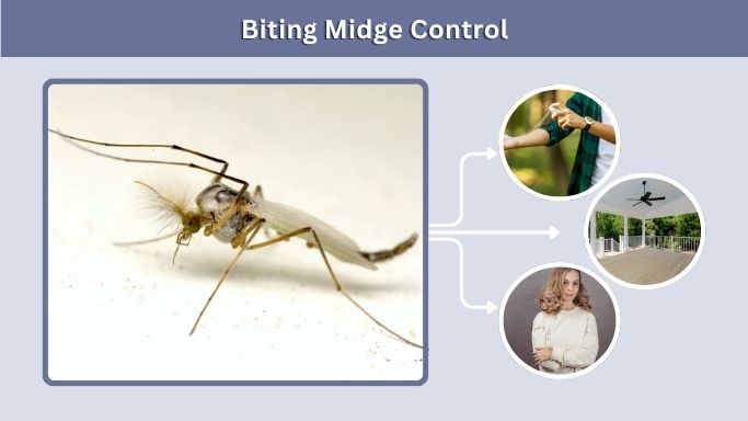 Biting Midge Control