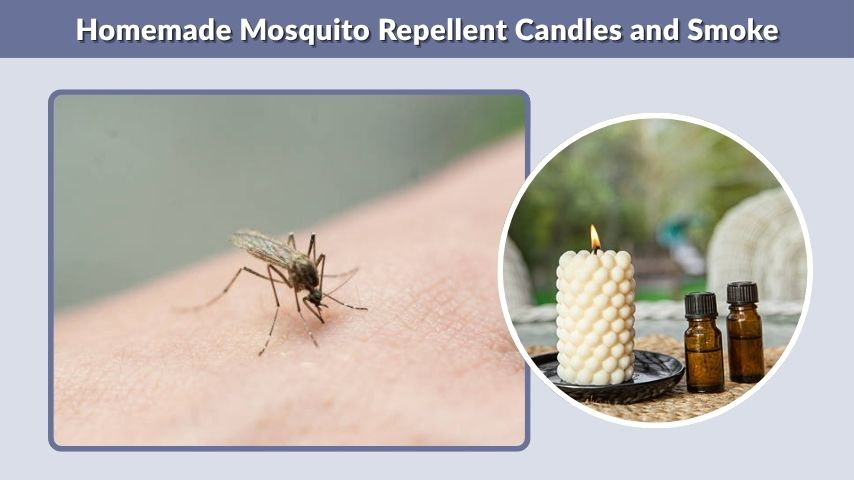 Homemade Mosquito Repellent Candles and Smoke