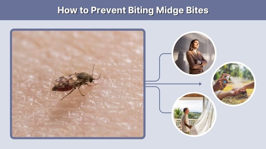 How to Prevent Biting Midge Bites