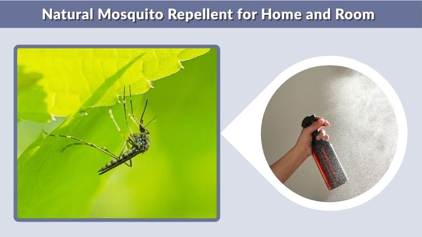 Natural Mosquito Repellent for Home and Room