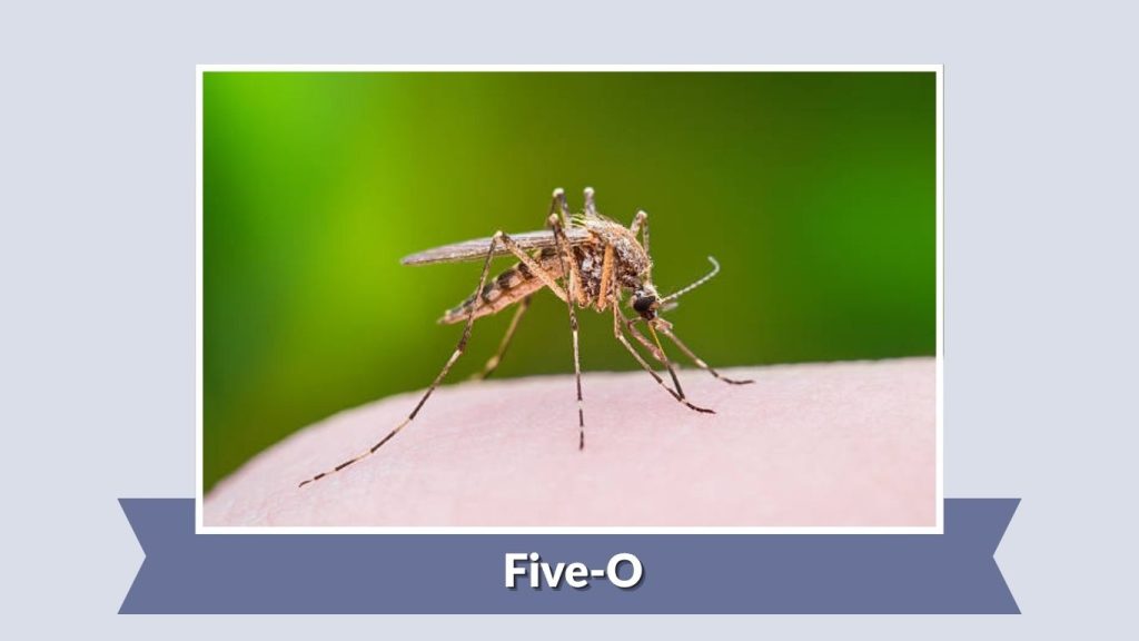 Five-O