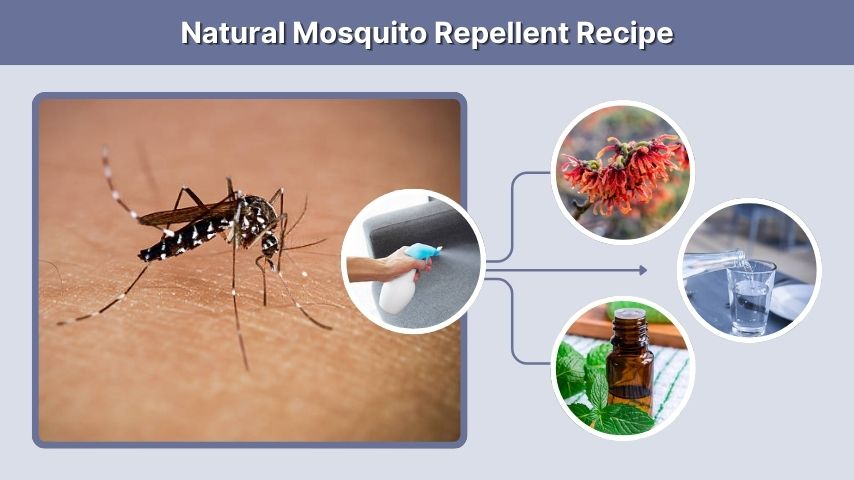 Natural Mosquito Repellent Recipe