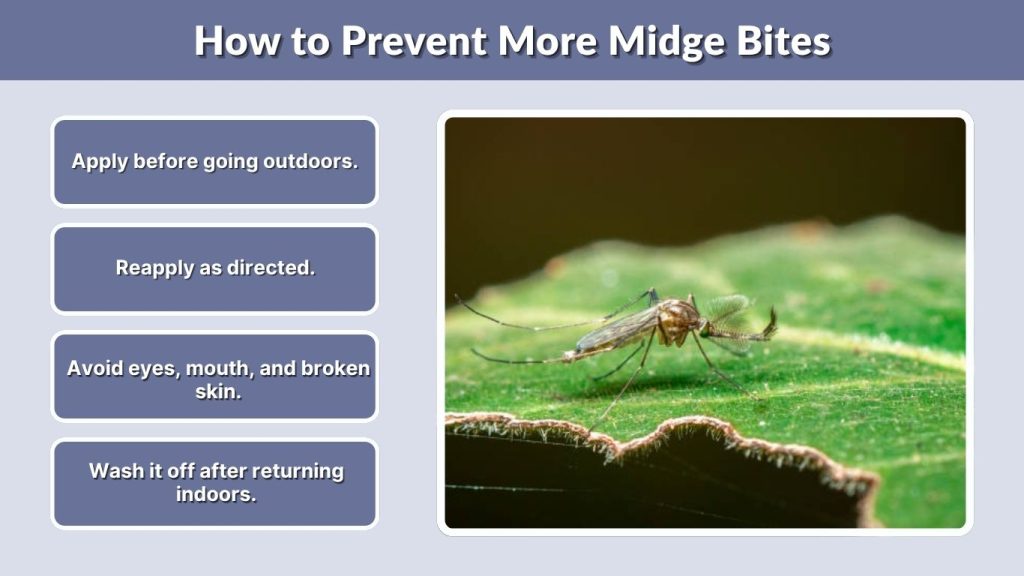 How to Prevent More Midge Bites