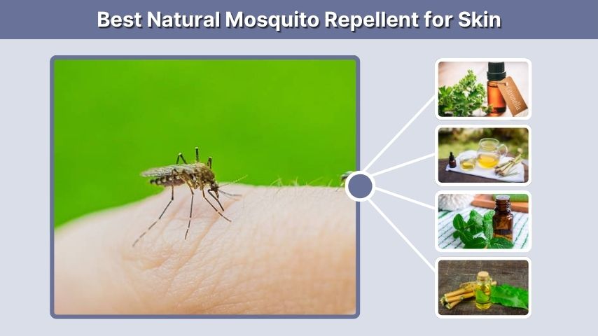 Best Natural Mosquito Repellent for Skin