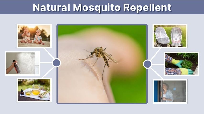 Natural Mosquito Repellent: Best Options for Skin, Yard, and Home