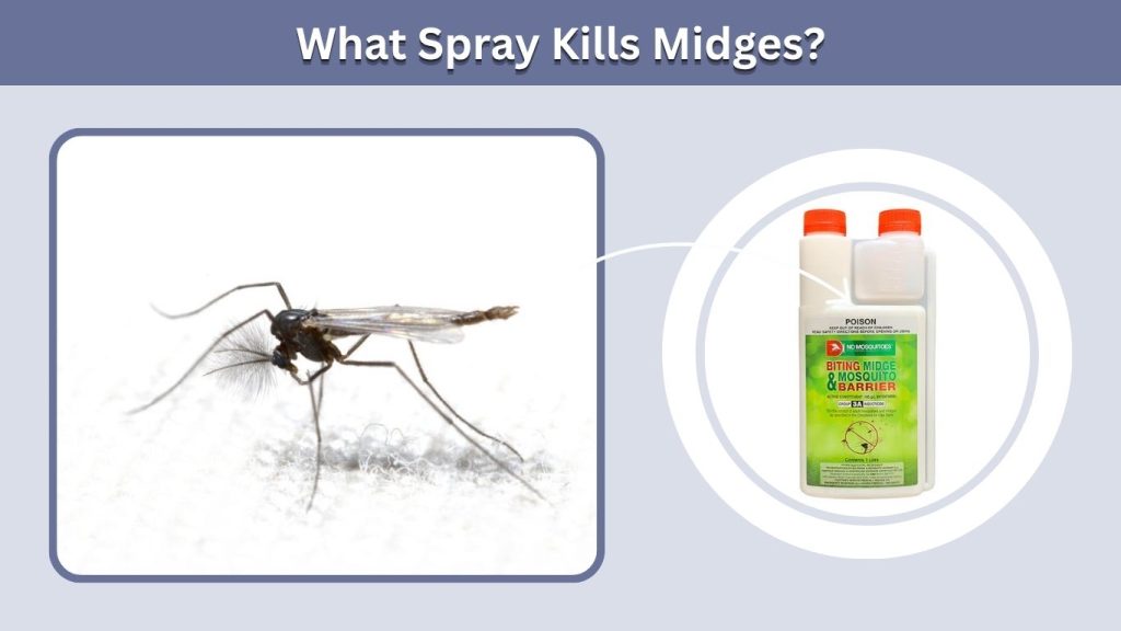 What Spray Kills Midges?