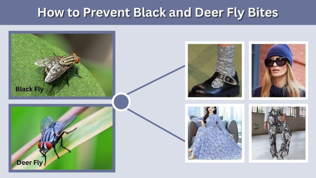 How to Prevent Black and Deer Fly Bites