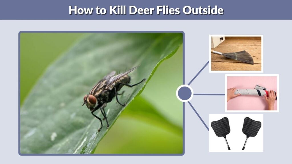 How to Kill Deer Flies Outside