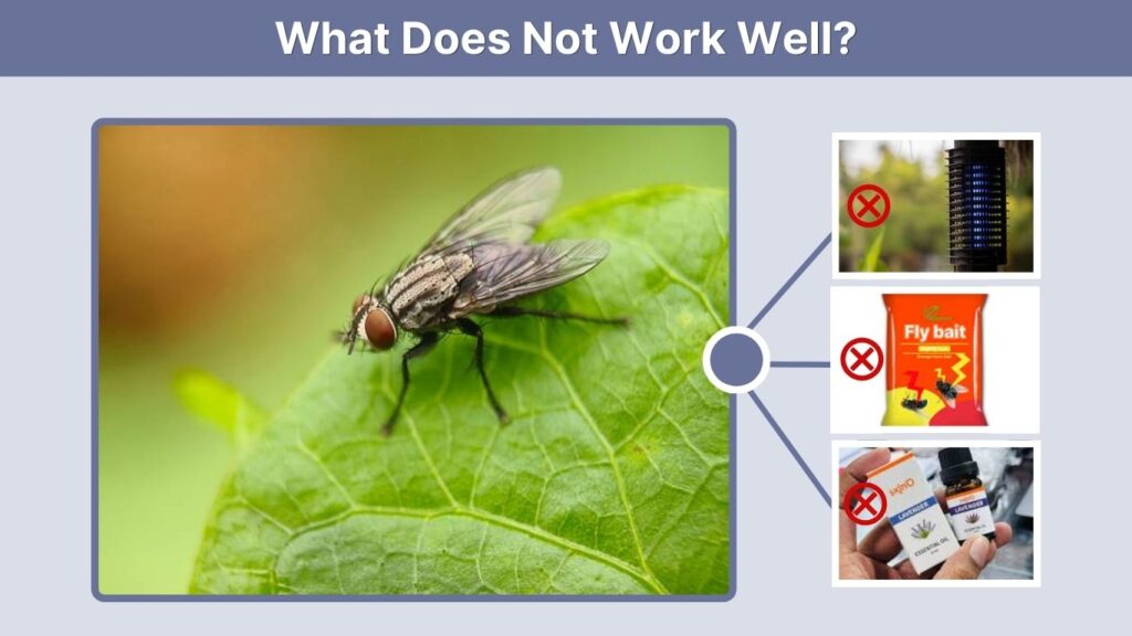 What Does Not Work Well?