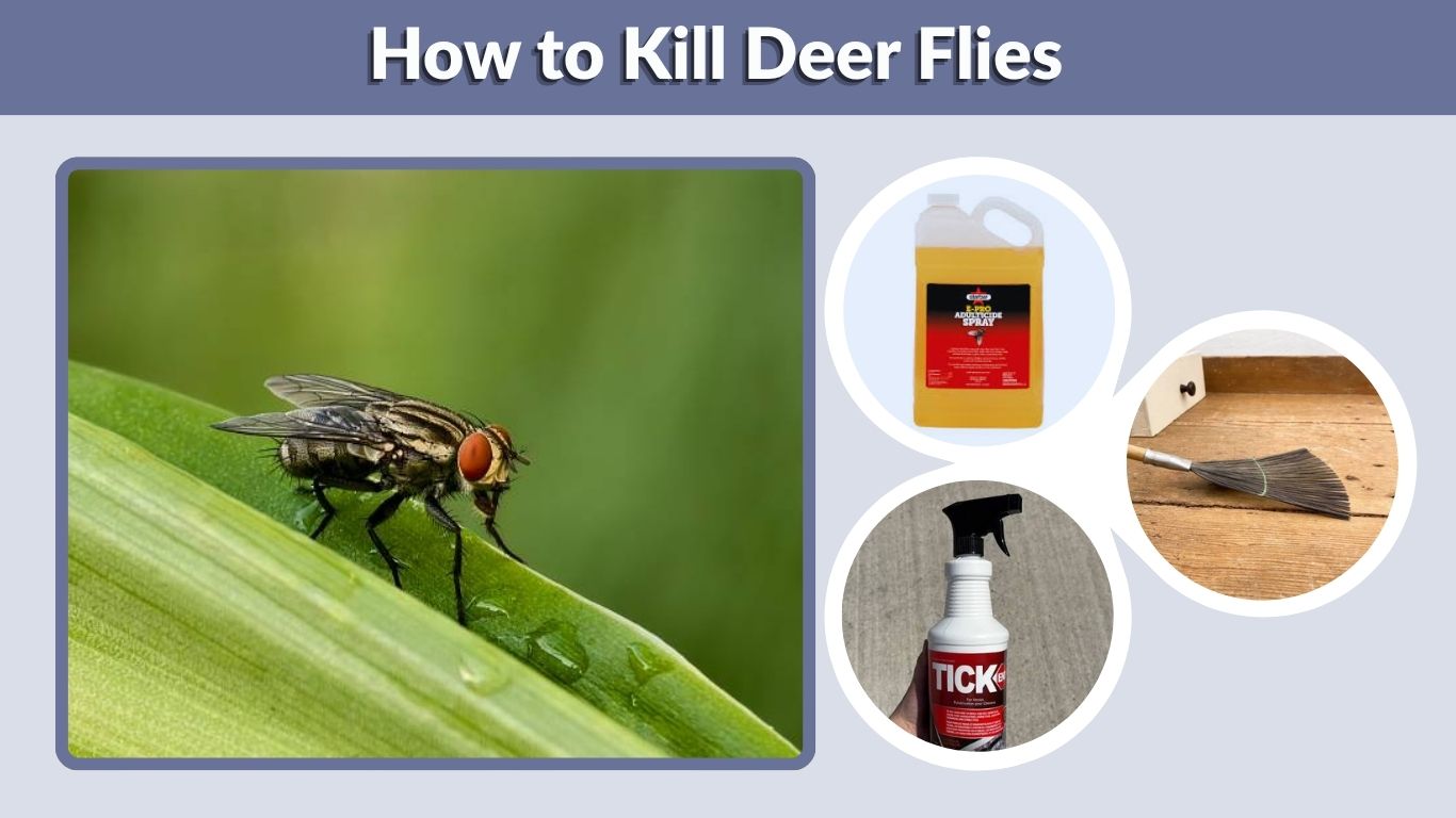 How to Kill Deer Flies: Effective Control Methods