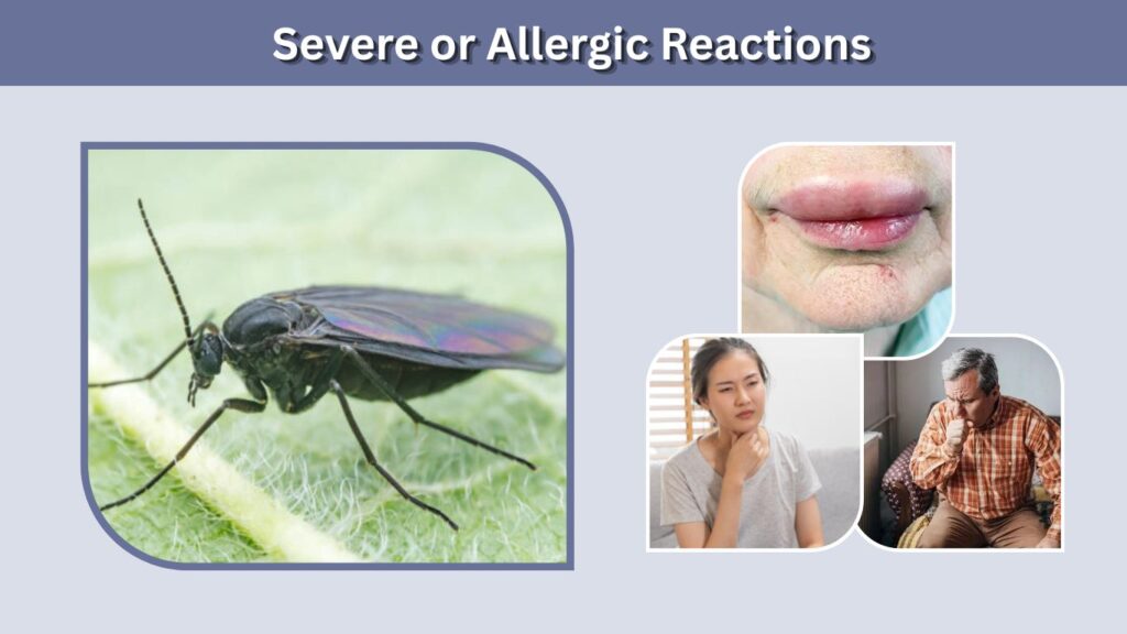 Severe or Allergic Reactions