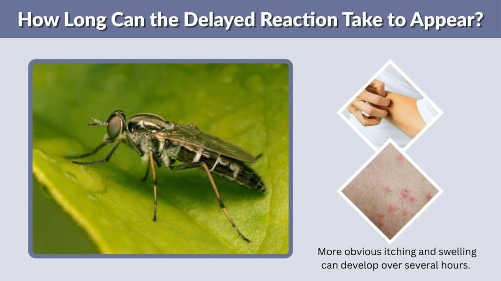 How Long Can the Delayed Reaction Take to Appear?