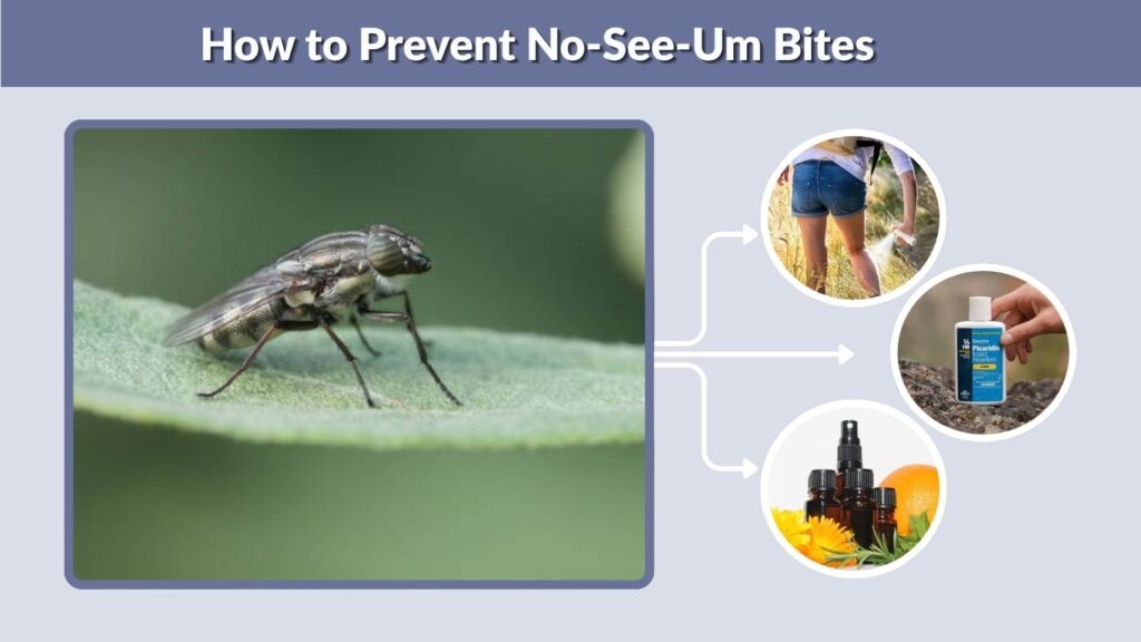 How to Prevent No-See-Um Bites