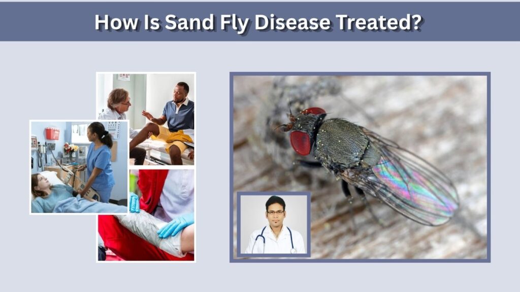 How Is Sand Fly Disease Treated?