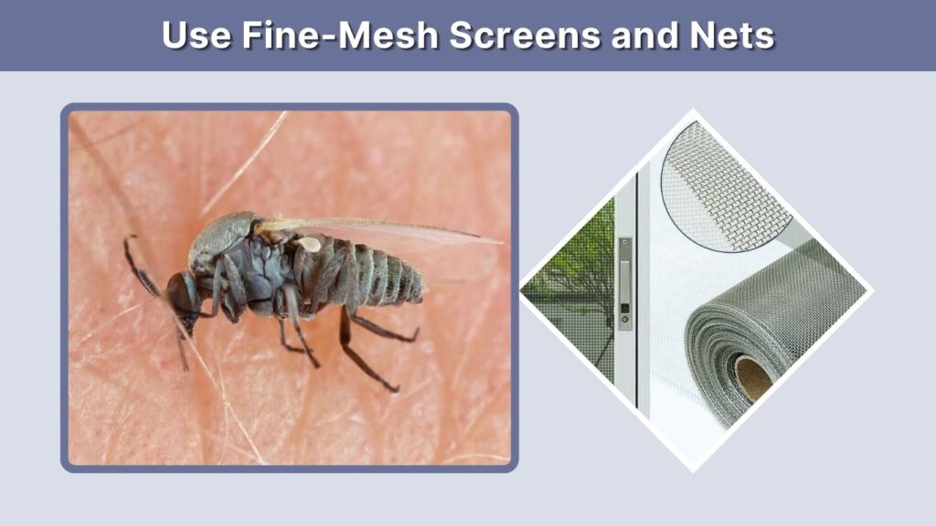 Use Fine-Mesh Screens and Nets