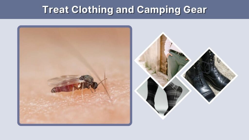 Treat Clothing and Camping Gear