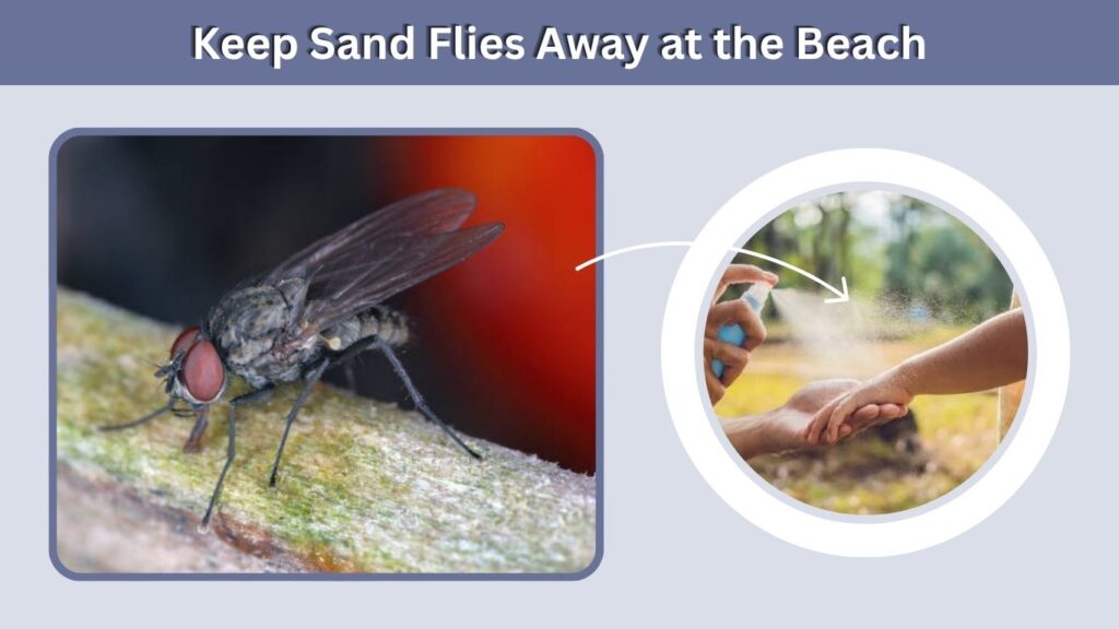 Keep Sand Flies Away at the Beach