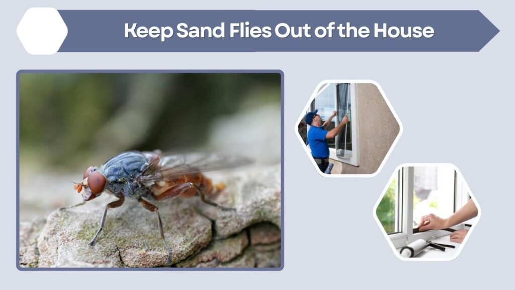 Keep Sand Flies Out of the House