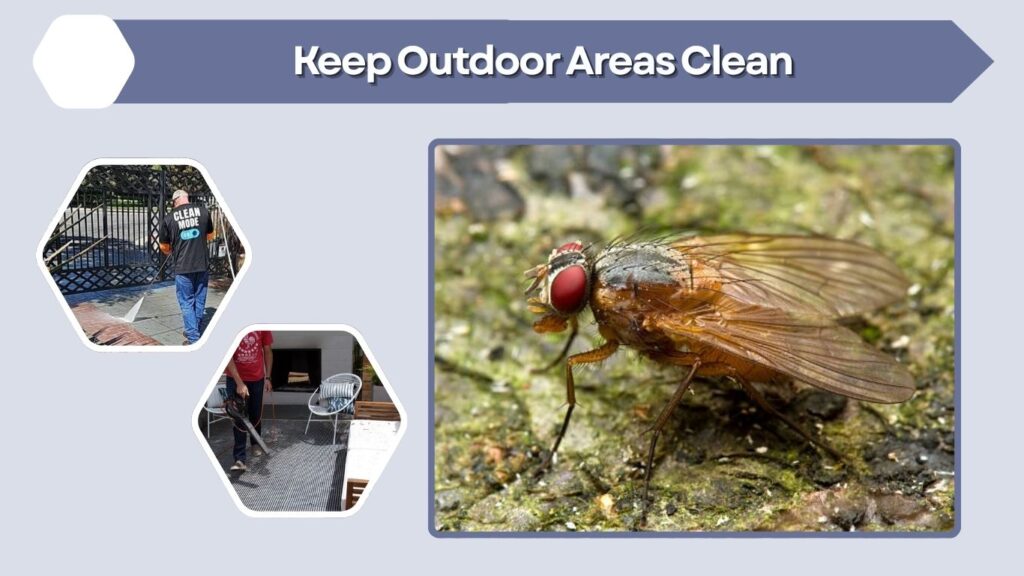 Keep Outdoor Areas Clean