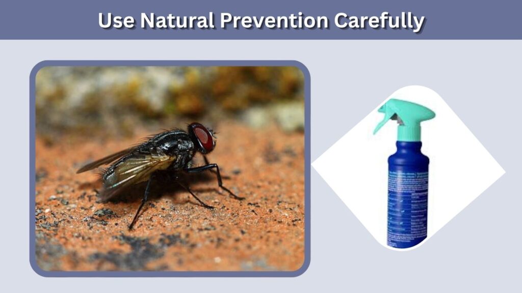 Use Natural Prevention Carefully