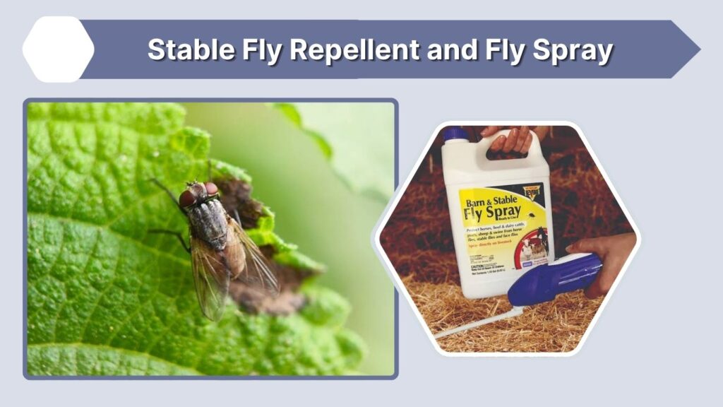 Stable Fly Repellent and Fly Spray